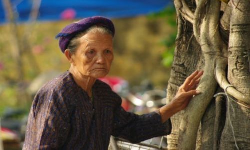 Zdjecie WIETNAM / Hoi An / Hoi An / kobieta z Hoi An