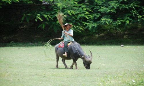 Zdjęcie WIETNAM / Tam Coc / Hoa Lu Ancient Capital / Tam Coc