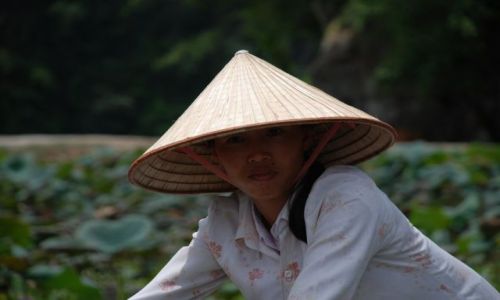 Zdjęcie WIETNAM / Tam Coc / Hoa Lu Ancient Capital / Tam Coc