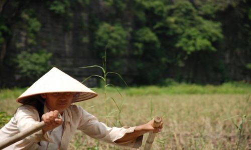 Zdjęcie WIETNAM / Tam Coc / Hoa Lu Ancient Capital / Tam Coc