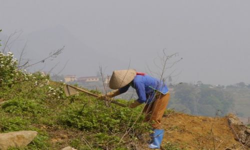 Zdjęcie WIETNAM / - / Sa Pa / mozolna praca