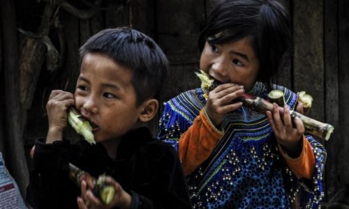 Zdjecie WIETNAM / Sapa / Bac Ha  / przekska 