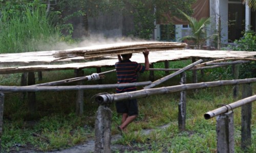 Zdjecie WIETNAM / Delta Mekongu / Delta Mekongu / Suszenie plackw ryowych na makaron
