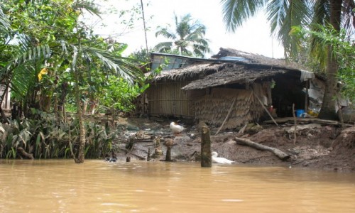 Zdjcie WIETNAM / Delta Mekongu / Wioska nad Mekongiem / Chatka nad Mekongiem