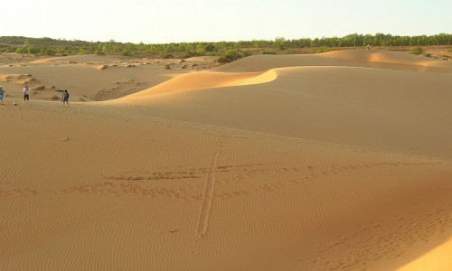 Zdjęcie WIETNAM / Wietnam Południowy / okolice Phan Thiet / Czerwone Wydmy