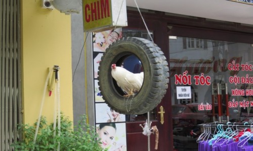 Zdjecie WIETNAM / Lao Cai / Sa Pa / Sa pa