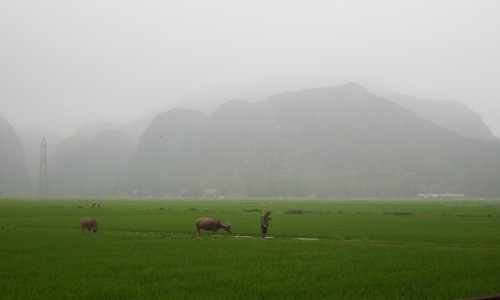 Zdjecie WIETNAM / pnoc / Meo Vac. Ha Giang / Dzie jak codzie