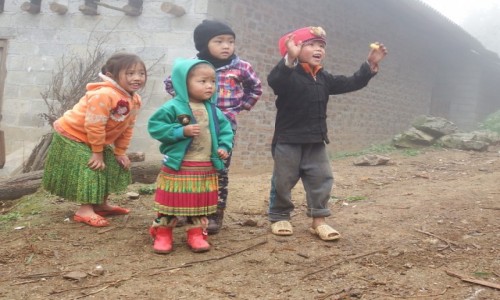 Zdjecie WIETNAM / pnoc / Ninh Binh / Dzie jak codzie