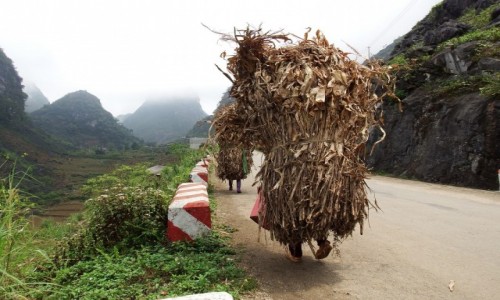Zdjecie WIETNAM / pnoc / Ha Giang / Praca