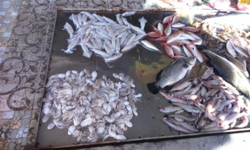 Zdjcie WIETNAM / Azja / Vung Tau / Vung Tau - opcje obiadowe