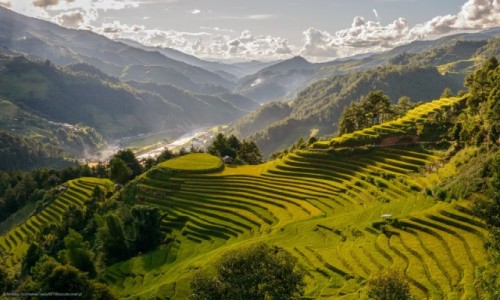 Zdjecie WIETNAM / Mu Cang Chai / Mu Cang Chai / Krajobraz z polami ryowymi