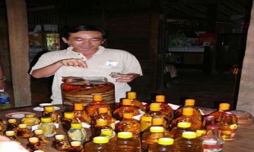Zdjecie WIETNAM / Delta Mekongu / farma / na zdrowie