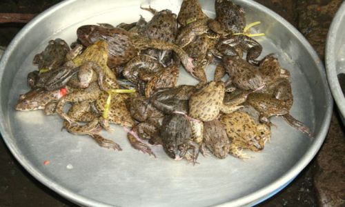 Zdjęcie WIETNAM / brak / Okolice Saigonu / Przysmaki
