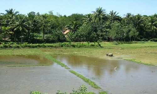 Zdjęcie WIETNAM / trasa Nha Trang Phan Thiet / brak / wietnamskie krajobrazy 1