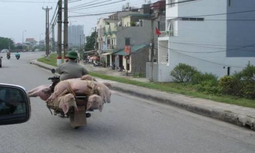 Zdjecie WIETNAM / Azja / Hanoi / Hanoi w październiku.
