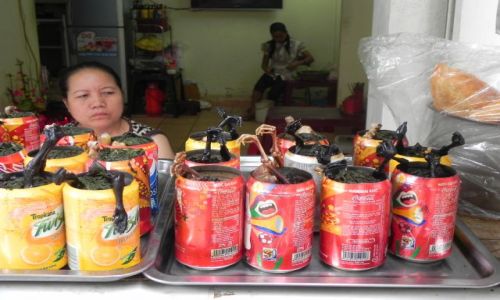 Zdjecie WIETNAM / hanoi / centrum / wietnam