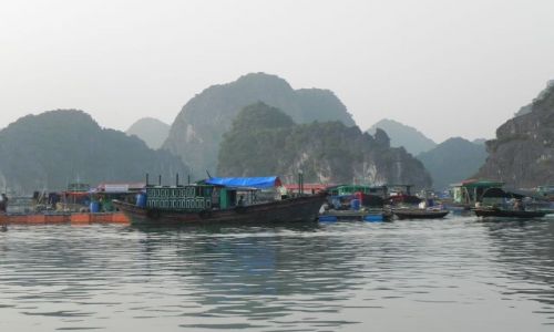 Zdjecie WIETNAM / halog bay / wietnam / wietnam