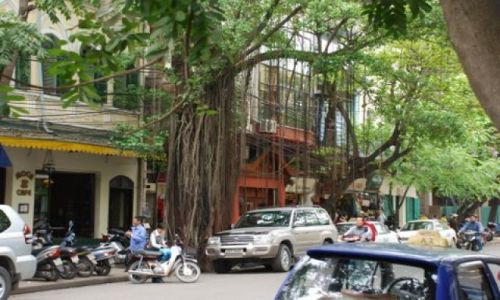 Zdjęcie WIETNAM / Hanoi / Pho Trang Thi / Przyroda Hanoi