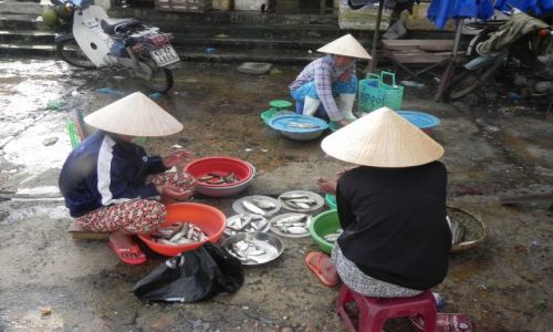 Zdjęcie WIETNAM / ho ian / ... / targ w ho ian