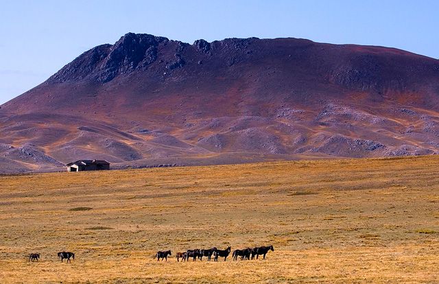 Zdjęcia: Fonte Vetica, Gran Sasso dItalia, Fonte Vetica, WłOCHY Zdjęcia: Fonte Vetica, Gran Sasso dItalia, Fonte Vetica, WłOCHY