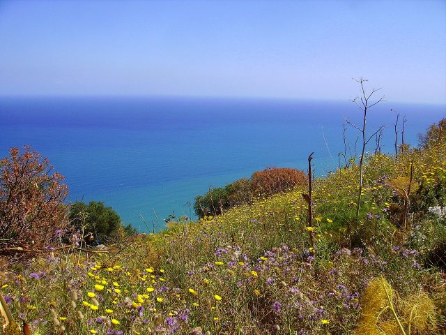 Zdjęcia: Cefalu - skała La Rocca, Sycylia, wiosna nad morzem w Cefalu, WłOCHY Zdjęcia: Cefalu - skała La Rocca, Sycylia, wiosna nad morzem w Cefalu, WłOCHY