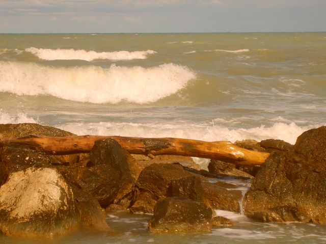 Zdjęcia: Cicitanova Marche, marche, Adriatyk, WłOCHY Zdjęcia: Cicitanova Marche, marche, Adriatyk, WłOCHY