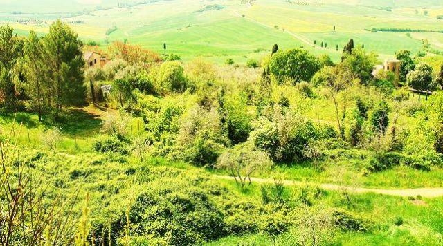 Zdjęcia: Pienza, Toskania, Spokój..., WłOCHY Zdjęcia: Pienza, Toskania, Spokój..., WłOCHY