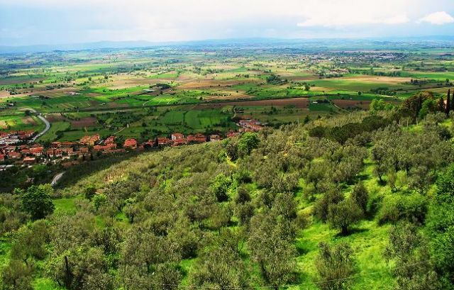 Zdjęcia: Cortona, Toskania, Sielsko...., WłOCHY Zdjęcia: Cortona, Toskania, Sielsko...., WłOCHY