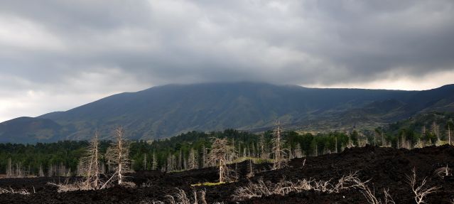 Zdjęcia: etna, sycylia, wulkan, WłOCHY Zdjęcia: etna, sycylia, wulkan, WłOCHY