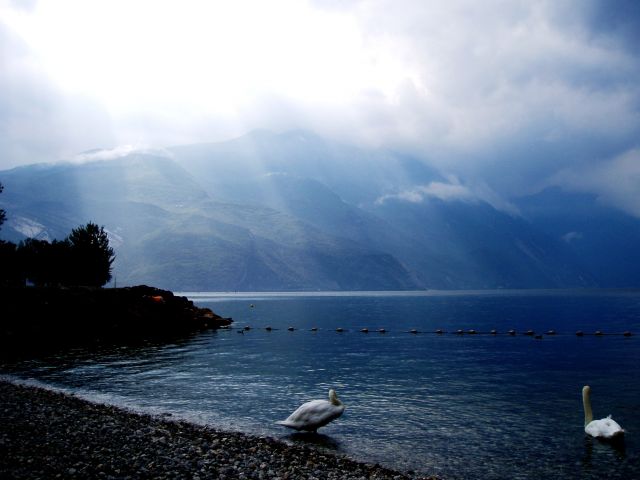 Zdjęcia: Lago Di Garda, pochmurny poranek, WłOCHY Zdjęcia: Lago Di Garda, pochmurny poranek, WłOCHY