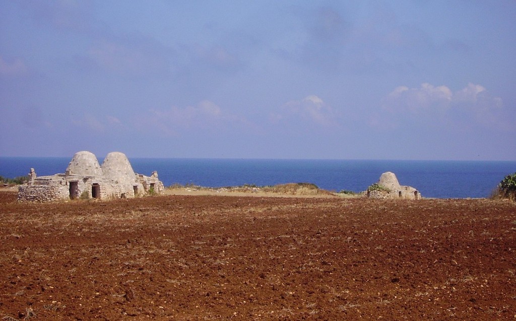 Zdjęcia: w drodze do Trani, Apulia, najstarsze , już niezamieszkałe trulli, WłOCHY Zdjęcia: w drodze do Trani, Apulia, najstarsze , już niezamieszkałe trulli, WłOCHY
