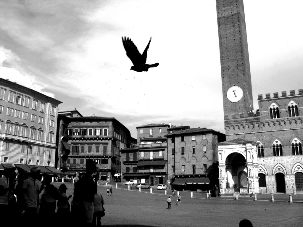 Zdjęcia: Siena, Toskania, Piazza del Campo, WłOCHY Zdjęcia: Siena, Toskania, Piazza del Campo, WłOCHY