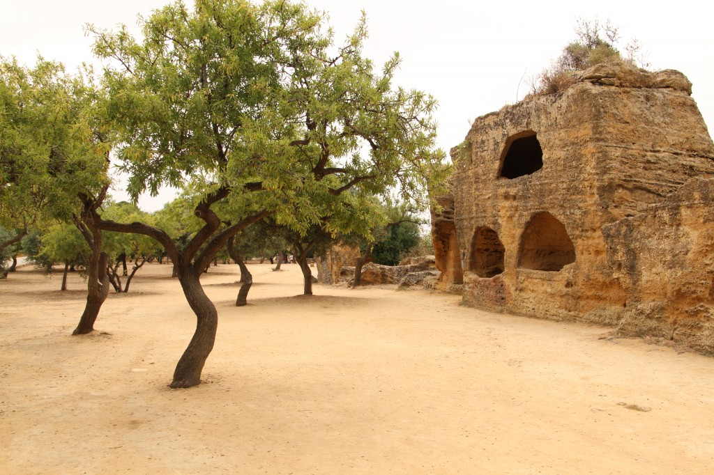 Zdjęcia: AGRIGENTO, SYCYLIA, DOLINA ŚWIĄTYŃ , WłOCHY Zdjęcia: AGRIGENTO, SYCYLIA, DOLINA ŚWIĄTYŃ , WłOCHY