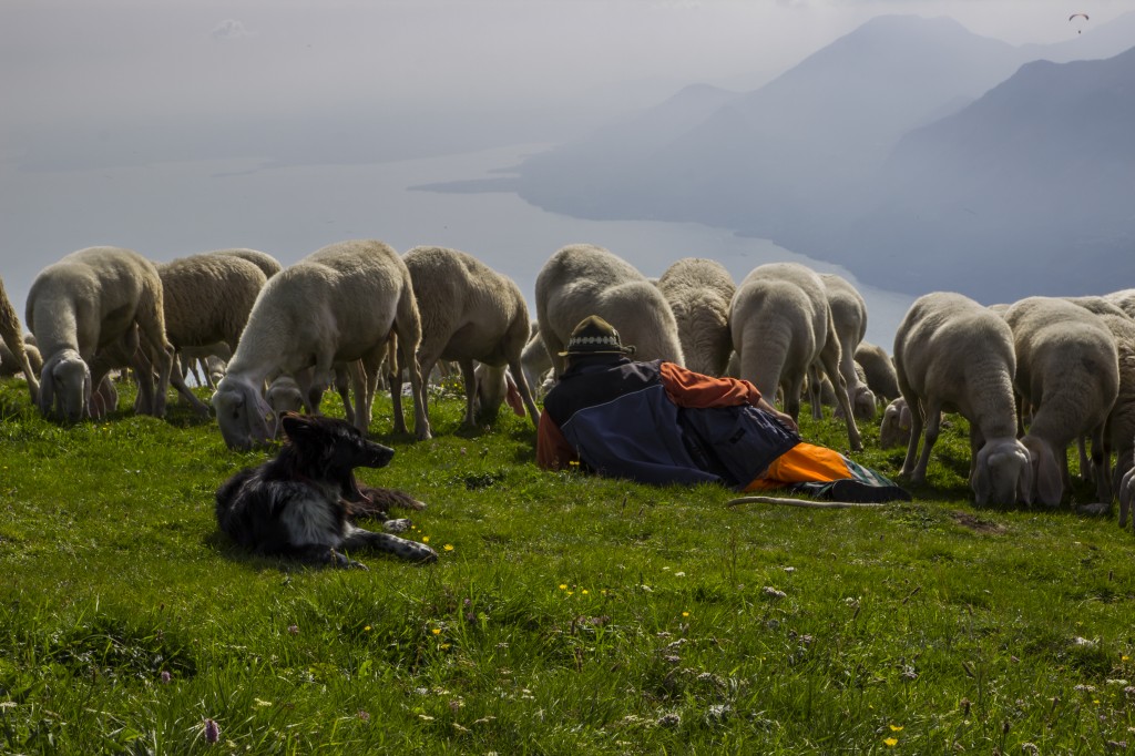 Zdjęcia: Monte Baldo, Lombardia, to jest robota ..., WłOCHY Zdjęcia: Monte Baldo, Lombardia, to jest robota ..., WłOCHY