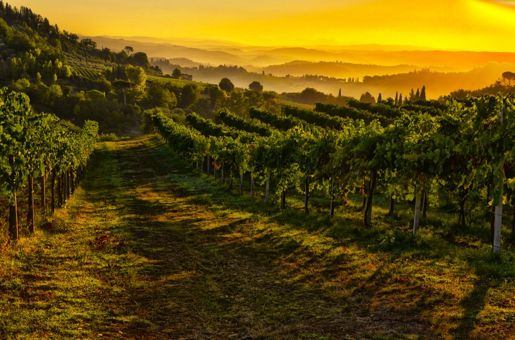 Zdjęcia: San Gimignano, Toskania, Toskania, WłOCHY Zdjęcia: San Gimignano, Toskania, Toskania, WłOCHY