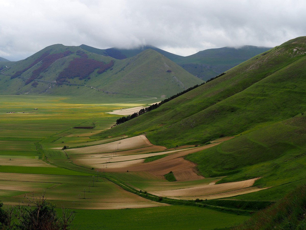 Zdjęcia: Castelluccio/Norcia, Umbria, Dolina, WłOCHY Zdjęcia: Castelluccio/Norcia, Umbria, Dolina, WłOCHY