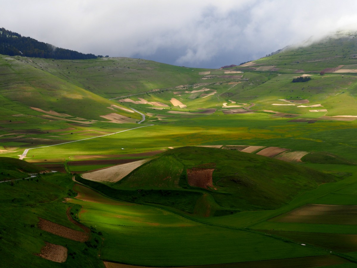 Zdjęcia: Castelluccio/Norcia, Umbria, ...trochę słońca w dolinie..., WłOCHY Zdjęcia: Castelluccio/Norcia, Umbria, ...trochę słońca w dolinie..., WłOCHY