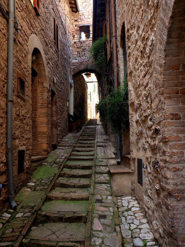 Zdjęcia: Spello, Umbria, Uliczka w Sepllo, WłOCHY Zdjęcia: Spello, Umbria, Uliczka w Sepllo, WłOCHY