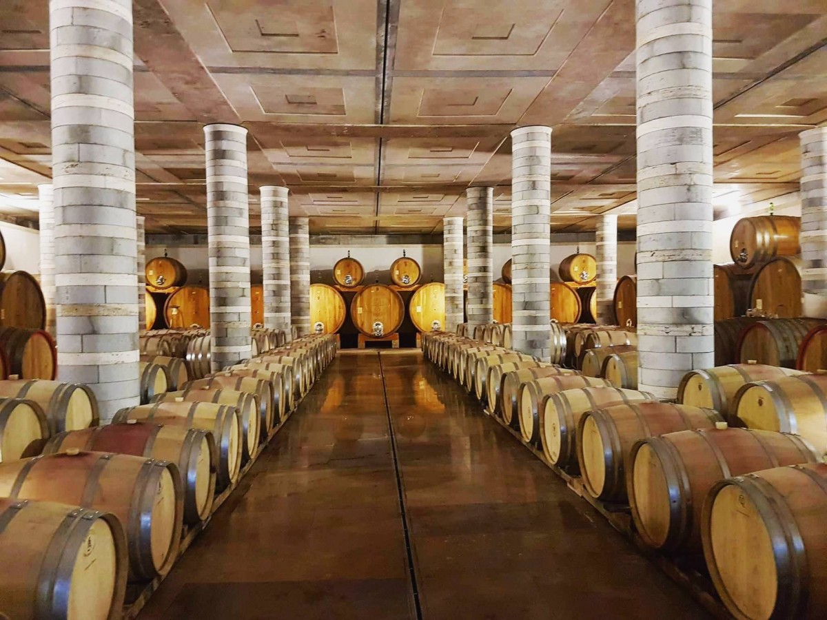 Zdjęcia: Cantine Dei, Montepulciano, Toskania, Winnica Cantine Dei, WłOCHY Zdjęcia: Cantine Dei, Montepulciano, Toskania, Winnica Cantine Dei, WłOCHY
