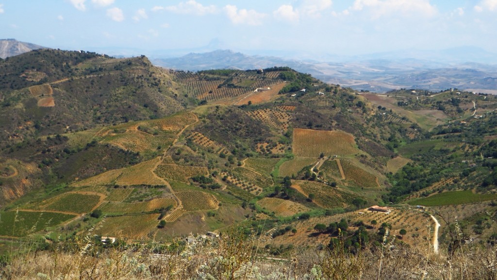 Zdjęcia: Segesta, Sycylia, panorama, WłOCHY Zdjęcia: Segesta, Sycylia, panorama, WłOCHY
