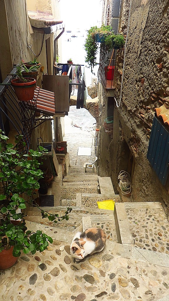 Zdjęcia: Scilla, Kalabria, uliczka, WłOCHY Zdjęcia: Scilla, Kalabria, uliczka, WłOCHY