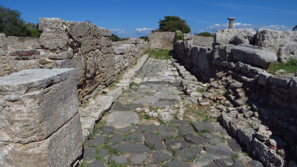 Zdjęcia: Paestum, Kampania, Paestum - ulica, WłOCHY Zdjęcia: Paestum, Kampania, Paestum - ulica, WłOCHY