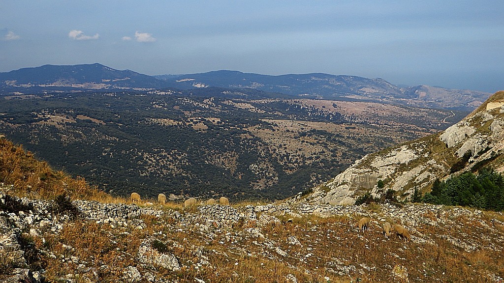 Zdjęcia: Półwysep Gargano, Półwysep Gargano, krajobrazy półwyspu Gargano, WłOCHY Zdjęcia: Półwysep Gargano, Półwysep Gargano, krajobrazy półwyspu Gargano, WłOCHY