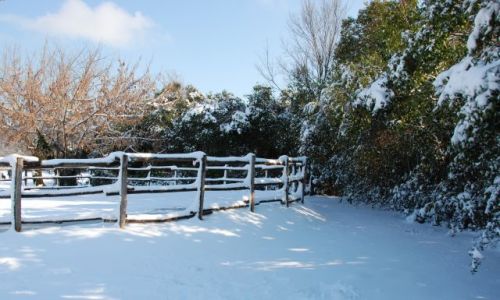 Zdjęcie WłOCHY / Rzym / Park Villa Borghese / Rzym pod sniegiem