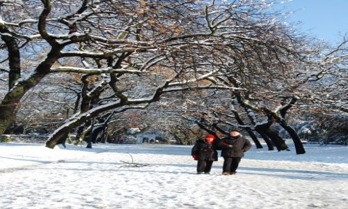 Zdjęcie WłOCHY / Rzym / Park Villa Borghese / Rzym pod sniegiem