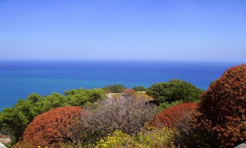 Zdjecie WOCHY / Sycylia / Cefalu - skaa La Rocca / kolory, kolory........
