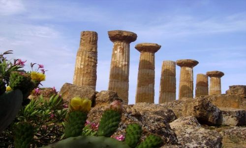 Zdjcie WOCHY / Sycylia / okolice Agrigento / w Dolinie wity