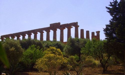 Zdjcie WOCHY / Sycylia / okolice Agrigento / w Dolinie wiry