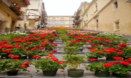 Zdjecie WOCHY / Sycylia / Caltagirone / Schody Santa Maria  del Monte