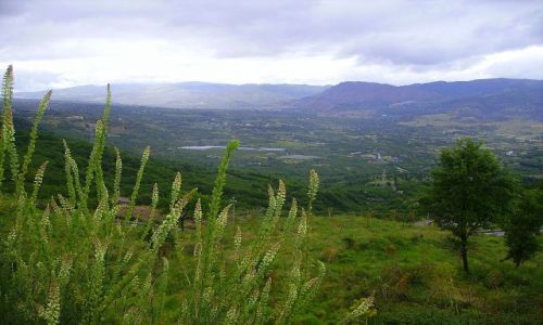 Zdjęcie WłOCHY / Sycylia / w drodze do Alcantara / w drodze do wąwozu Alcantara